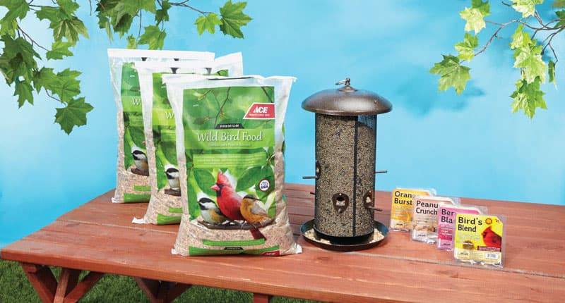 Bird & Wildlife Supplies, Food & Feeders At Ace Hardware