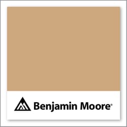 Benjamin Moore Acorn Yellow 2161-40