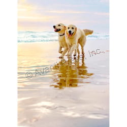 Avanti Golden Dogs on Beach Anniversary Greeting Card Paper 1 pc