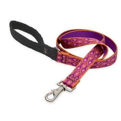 Lupine Pet Original Designs Multicolor Alpen Glow Nylon Dog Leash