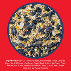 Lyric Supreme Assorted Species Sunflower Seeds Wild Bird Food 20 lb