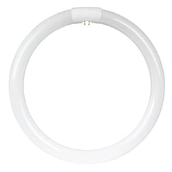 Feit 32 W T9 12 in. D Circline Fluorescent Bulb Cool White Circular 4100 K 1 pk