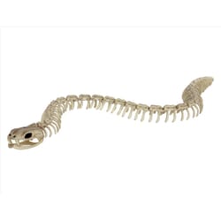 Seasons Skeleton Snake Tabletop Decor