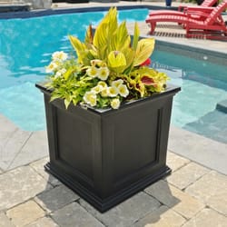 Mayne Fairfield 20 in. H X 20 in. W X 20 in. D Plastic Planter Box Black