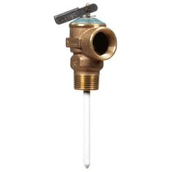 Cash Acme 3/4 in. Bronze Pressure Relief Valve