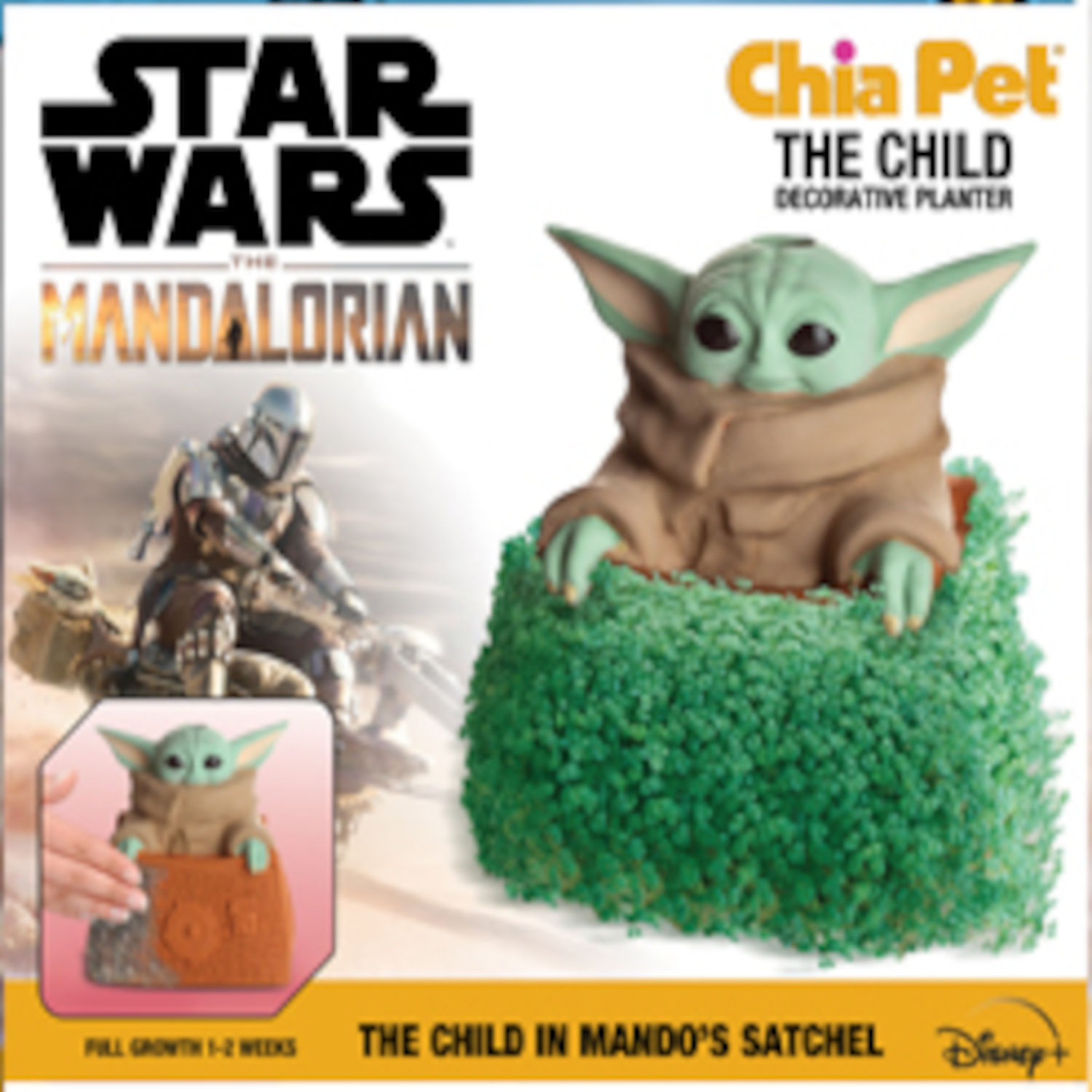 Photos - Other interior and decor Chia Pet Star Wars Child Mandalorian Decorative Planter Clay 1 pk CP985A16