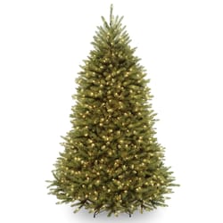 National Tree Company 7 ft. Full LED 650 ct Dunhilll Fir Christmas Tree