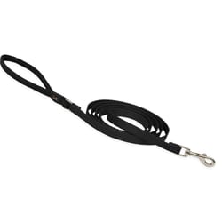 LupinePet Basic Solids Black Black Nylon Dog Leash