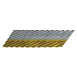 Metabo HPT 1-1/2 in. L X 15 Ga. Angled Strip Electro Galvanized Finish Nails 1000 pk