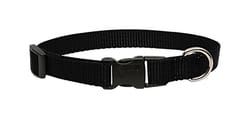 LupinePet Basic Solids Black Black Nylon Dog Adjustable Collar