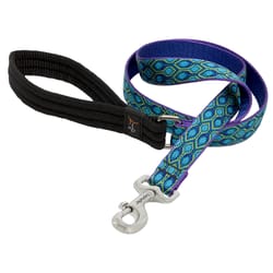 LupinePet Original Designs Multicolor Rain Song Nylon Dog Leash