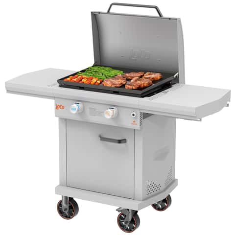 Blackstone On The Go 2 Burner Gas Portable Flat Top Grill - Ace Hardware -  Ace Hardware