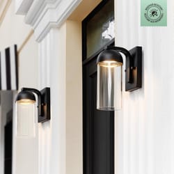 Globe Electric 1-Light Matte Black Wall Sconce