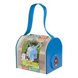 Toysmith Beetle & Bee Garden Critter Case Blue