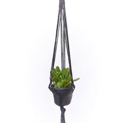 Primitive Planters Black Jute 36 in. H Plant Hanger 1 pk