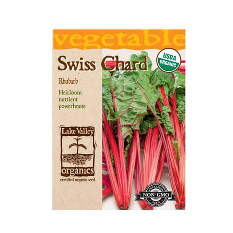 Rhubarb Red Organic Swiss Chard - Seed Savers Exchange