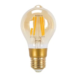 Globe Electric Vintage A19 E26 (Medium) LED Bulb Warm White 60 Watt Equivalence 1 pk