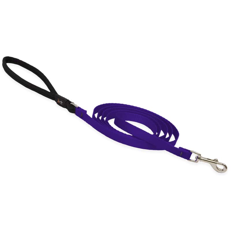 Lupine Pet Basic Solids Purple Purple Nylon Dog Leash Ace Hardware
