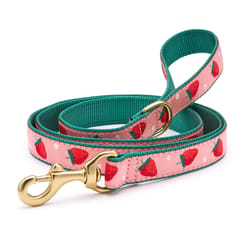 Up Country Pink Strawberry Fields Nylon Dog Leash