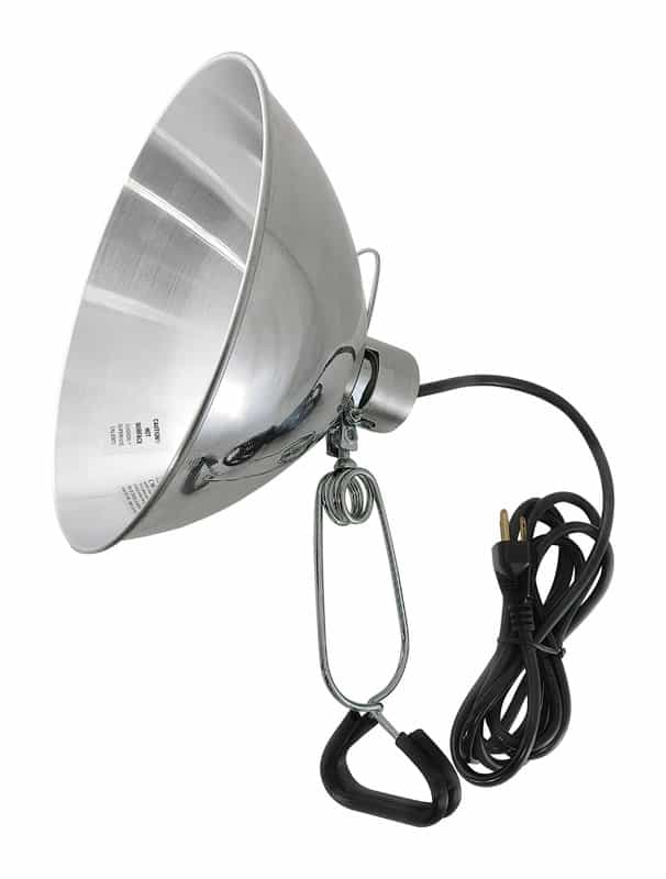 outdoor string lights ace hardware