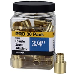 Apollo Pro 3/4 in. PEX Barb in to X 3/4 in. D Female Sweat Brass Adapter