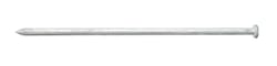 Ace 10 in. Spike Hot-Dipped Galvanized Steel Nail Diamond Head 5 lb