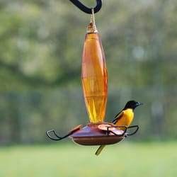 Audubon Oriole 10 oz Glass/Metal Bottle Nectar Feeder 3 ports