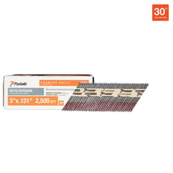 Paslode Roundrive 3 in. L Angled Strip Brite Framing Nails 30 deg 2500 pk