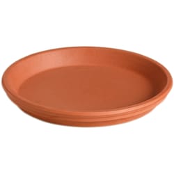 Deroma 1.22 in. H X 9.26 in. D Clay Sottovaso Plant Saucer Terracotta