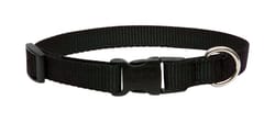 LupinePet Basic Solids Black Black Nylon Dog Adjustable Collar