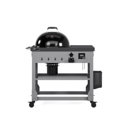 TYTUS 22 in. Charcoal/Wood Grill Black