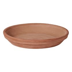 Deroma 1.2 in. H X 1.2 in. D X 9.3 in. D Clay Traditional Plant Saucer Chocolate