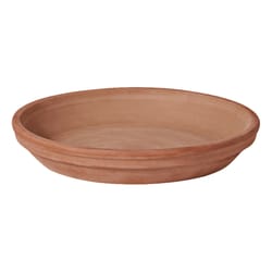 Deroma 1 in. H X 1 in. D X 6 in. D Clay Standard Plant Saucer Brown Deroma 1 in. H X 1 in. D X 6 in. D Clay Standard Plant Saucer Brown
