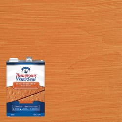 Thompson's WaterSeal Semi-Transparent Natural Cedar Waterproofing Wood Stain and Sealer 1 gal