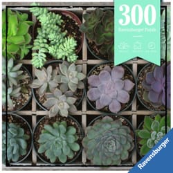 Ravensburger Green Echeveria Puzzle Moment Multicolored 300 pc
