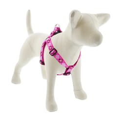 Lupine Pet Original Designs Multicolor Puppy Love Nylon Dog Harness