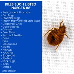 BioAdvanced Home Pest Bed Bug Killer Spray 15.7 oz