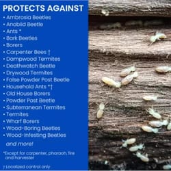 BioAdvanced Carpenter Bee and Termite Killer Foam 18 oz