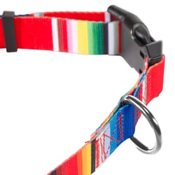 Hooey Nomad Multicolored Serape Tijuana Polyester Dog Collar Medium