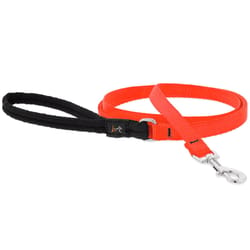 LupinePet Blaze Orange Nylon Dog Leash