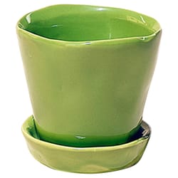 Chive Tika 3 in. D Ceramic Succulent Pot Greenery