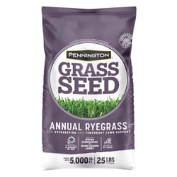 Pennington Annual Ryegrass Sun or Shade Grass Seed 25 lb