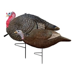 Primos Gobbstopper Multicolored Rubber Jake and Hen Turkey Decoy