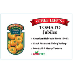 Chef Jeff Orange Heirloom Jubilee Tomato Vegetable Plant