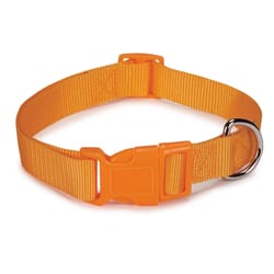 Boss Pet Casual Canine Orange Nylon Dog Collar Small