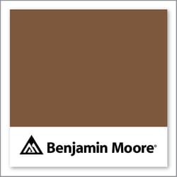 Benjamin Moore Marsh Brown 2164-20