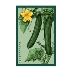 Chive Shido Seed Co. Cucumber Seeds 1 pk