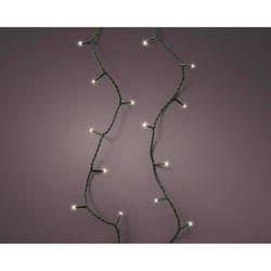 Celebrations Gold LED Clear/Warm White 250 ct Christmas Lights 61.35 ft.