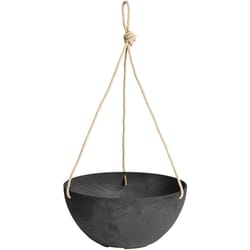 Novelty ArtStone 4.8 in. H X 9.9 in. W X 9.9 in. D X 9.9 in. D Resin Napa Hanging Planter Black