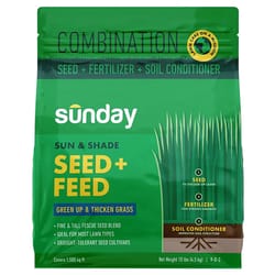 Sunday Tall Fescue Grass Dense Shade/Full Sun Fertilizer/Seed/Soil Improver 10 lb